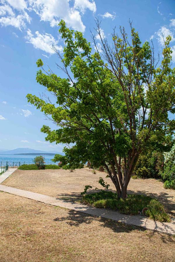 Villaevanafplion Paralia Irion Dış mekan fotoğraf